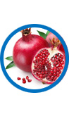 ProstaGenix Natural Ingredient: Pomegranate