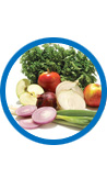 ProstaGenix Natural Ingredient: Quercetin